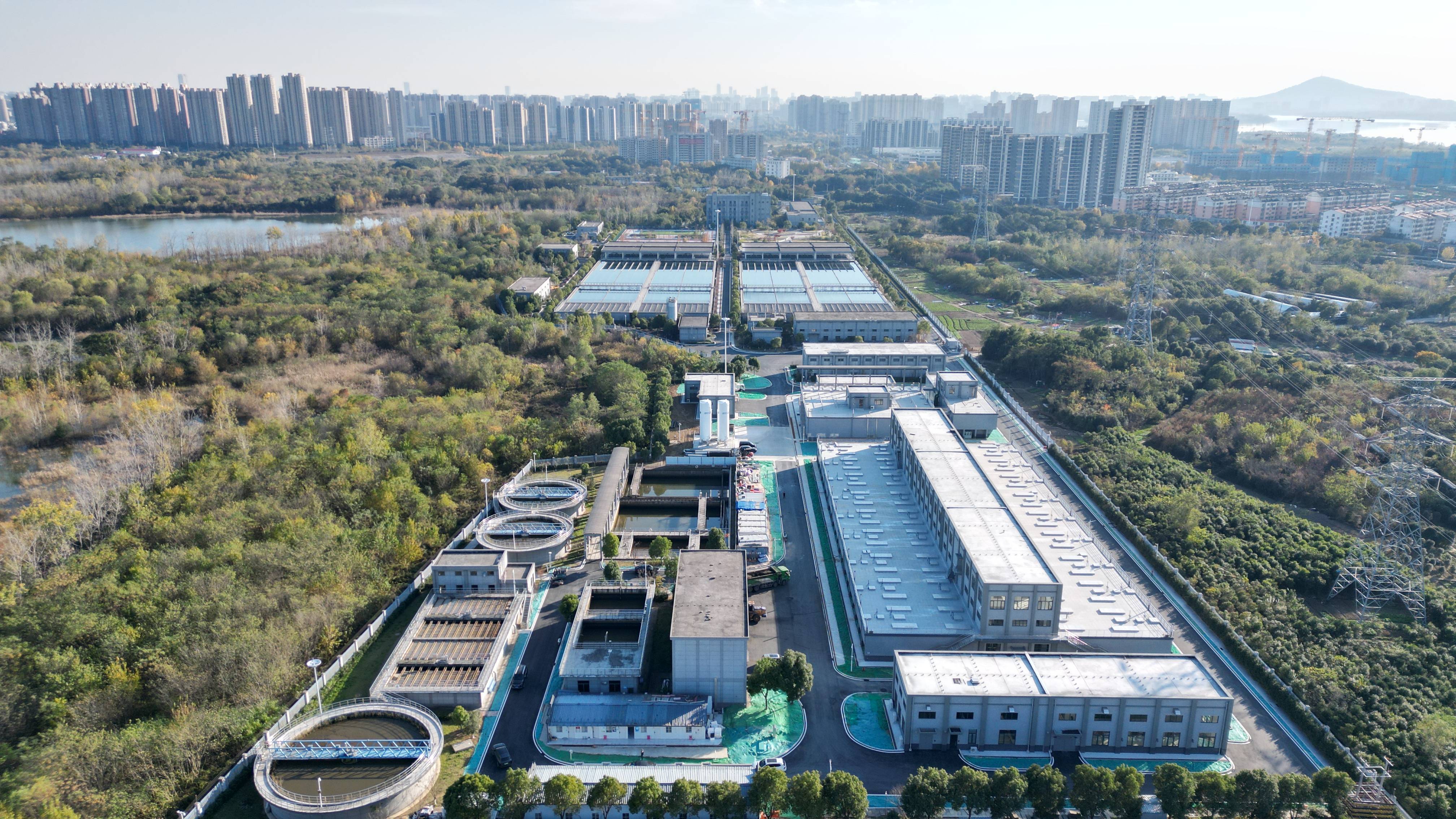 临沧市合肥专业企业价值增长(合肥市重点企业产业目录)