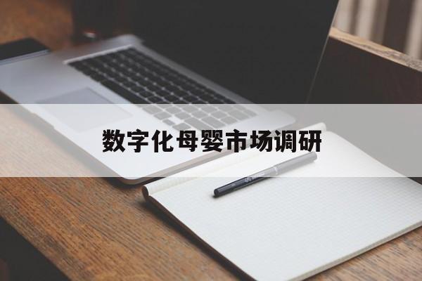 临沧市数字化母婴市场调研(数字化母婴市场调研报告)